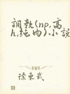 调教(np,高h,纯肉)小说