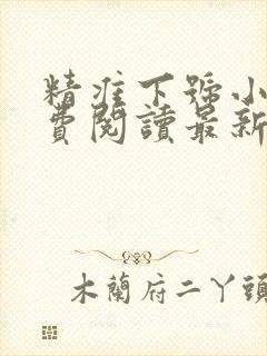 精准下号小说免费阅读最新章节封面