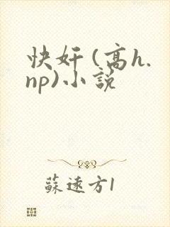快奸 (高h.np)小说