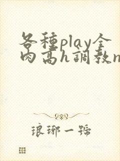 各种play全肉高h调教np