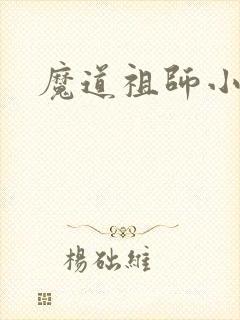 魔道祖师小说