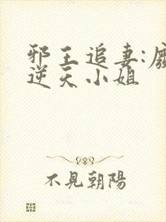 邪王追妻:废材逆天小姐封面