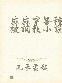 麻麻穿各种丝袜被调教小说封面