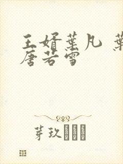 王婿叶凡 叶凡唐若雪