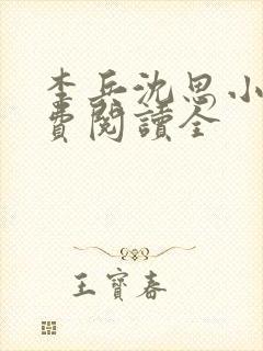 李兵沈思小说免费阅读全