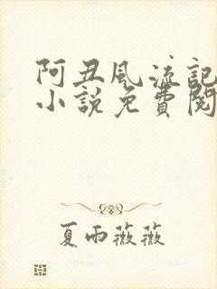 阿丑风流记原著小说免费阅读