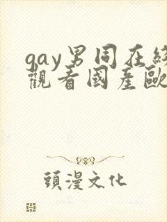gay男同在线观看国产欧美