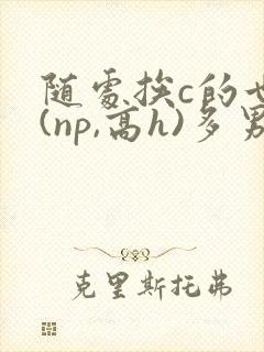 随处挨c的世界(np,高h)多男一受多攻