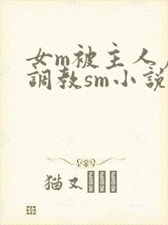 女m被主人虐玩调教sm小说封面