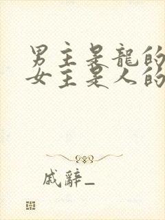 男主是龙的小说女主是人的