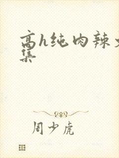 高h纯肉辣文合集