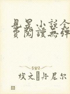 见星小说全文免费阅读无弹窗