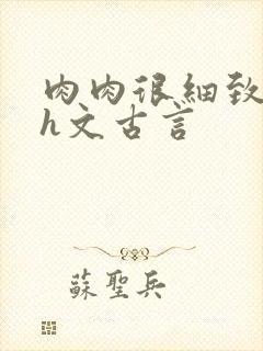 肉肉很细致的高h文古言封面