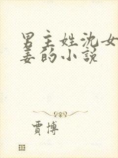 男主姓沈女主姓姜的小说