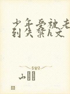 少年受被老头肉到失禁h文