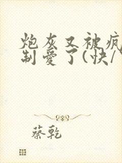 炮灰又被疯批强制爱了(快/穿