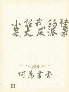 小说我的徒弟都是大反派最新章节