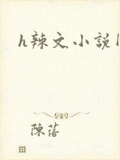 h辣文小说网封面