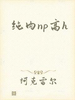 纯肉np高h