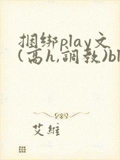 捆绑play文(高h,调教)bl