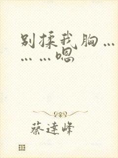 别揉我胸……啊……嗯