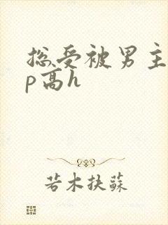 总受被男主们np高h