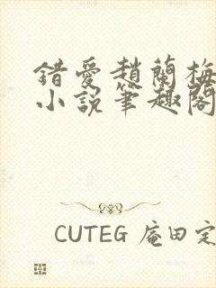 错爱赵兰梅孙明小说笔趣阁