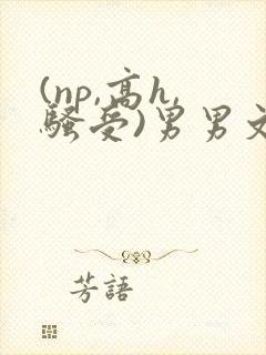 (np,高h,骚受)男男文