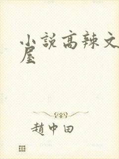 小说高辣文御宅屋