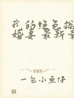 我的绝色总裁未婚妻 最新章节