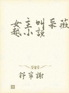 女主叫采薇的穿越小说