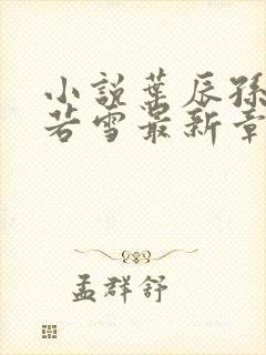 小说叶辰孙怡夏若雪最新章节阅读