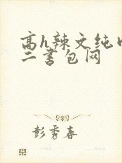 高h辣文纯肉第二书包网封面