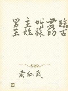 男主叫君临渊女主姓苏的古言小说