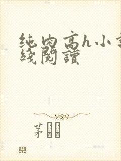 纯肉高h小说在线阅读