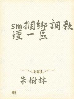 sm捆绑调教论坛一区封面