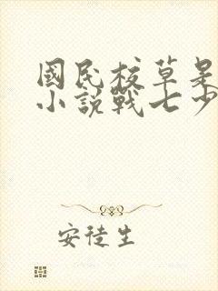 国民校草是女生小说战七少封面