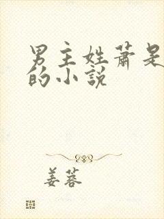 男主姓萧是世子的小说