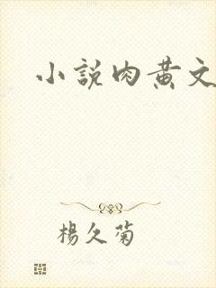小说肉黄文