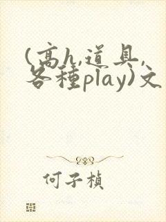 (高h,道具,各种play)文
