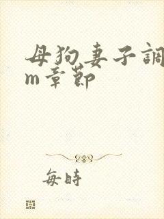 母狗妻子调教sm章节