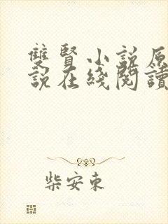 双贤小说原著小说在线阅读