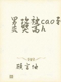 男攻被cao到爽哭高h封面