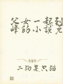 父女一起到达巅峰的小说免费阅读