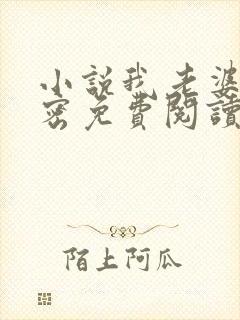 小说我老婆的秘密免费阅读