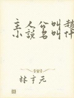 主人公叫赵旭的小说名叫什么