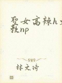 圣女高辣h文调教np