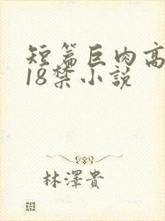 短篇巨肉高h文18禁小说