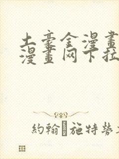 土豪金漫画免费漫画网下拉式