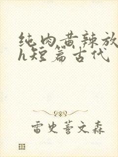 纯肉黄辣放荡高h短篇古代